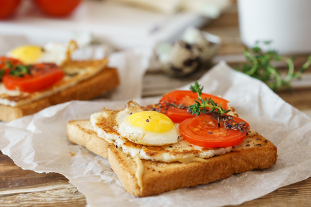 Sandwich with fried egg, tomato and fried circassian cheese for healthy breakfast.の写真素材