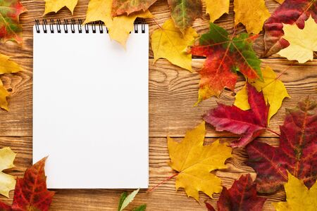 Red and yellow maple leaves around empty notebook. Back to school or college concept. Autumn seasonal sale mockup.の写真素材