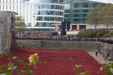 remembranceのeditorial素材