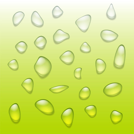 Set of realistic water drops on green background. Vector illustration.のイラスト素材