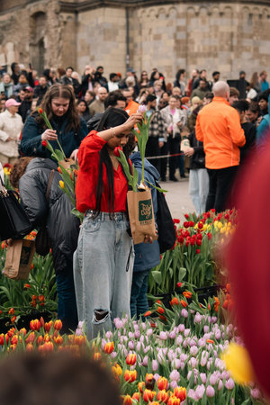 Woman Holds Tulips at a Public Flower Event in Berlin