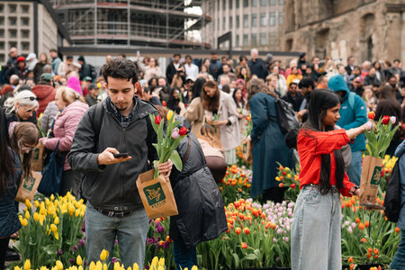 Berlin, Germany - March 14, 2026: Visitors hold freshly picked tulips during a public flower event...