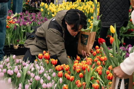 Berlin, Germany - March 14, 2026: Dense pink and orange tulip beds are displayed during a public...