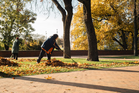 Chernihiv, Ukraine, October 2024: Municipal workers cleaning fallen leaves in a public park on a sunny autumn day. The scene shows two people in warm work uniforms using rakes to maintain the area. Seasonal urban maintenance during fall.のeditorial素材