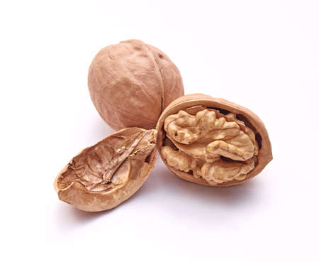 Walnut on an isolated white background. Close up. Macro.の写真素材
