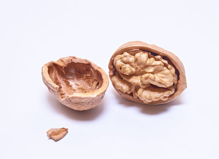 Walnut on an isolated white background. Close up. Macro.