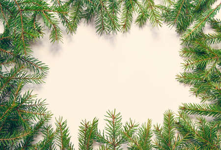 Frame of coniferous green spruce branches on a white background with free space for text.の写真素材