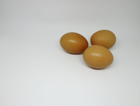 egg isolated white background