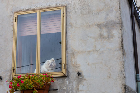 Castel di Sangro, Abruzzo, Italy. October 13, 2017. Photographic documentation between the streets of Castel di Sangroの写真素材