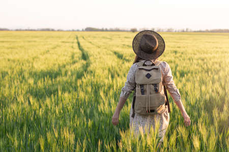 Traveler with a backpack in a field of wheat at sunset. Woman outdoor in nature at the backdrop of the open horizon. The concept of freedom and discovery. Environment and lifestyleの写真素材