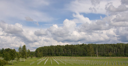summer land sky horizon