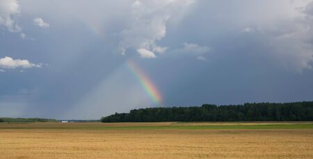 summer land sky horizonの写真素材