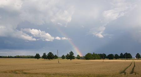 summer land sky horizonの写真素材