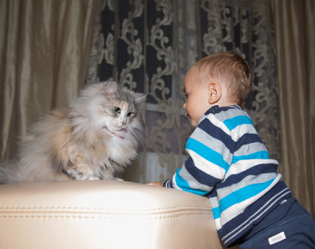 pretty little baby boyの写真素材