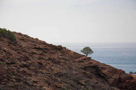 Bonaire island Atlantic ocean wild side beachの写真素材