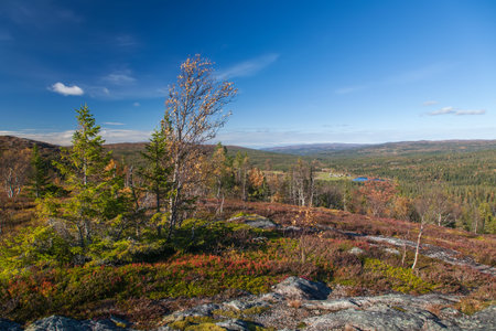 Norway Nature Scandinavian North Travel Landscapesの写真素材