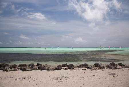 Windsurfing in the lagoon of the seaの写真素材