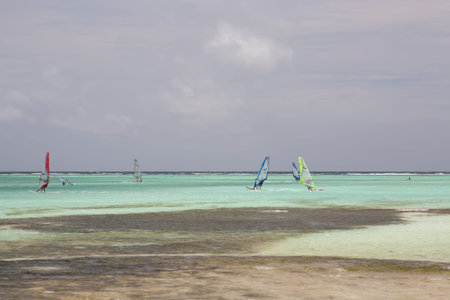 Windsurfing in the lagoon of the seaの写真素材