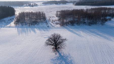 Winter field Krimulda Latvia aerial drone top viewの写真素材