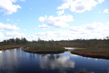 swamp autumn National Park Kemeri Latvia landscapesの写真素材