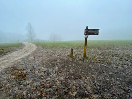 Autumn pictures Krimulda Sigulda Latvia Gauja river Valleyの写真素材