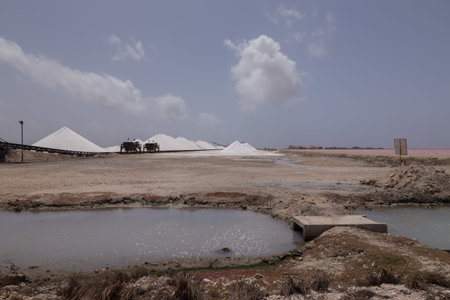 caribbean salt lake mining work Bonaire island Netherlandes Antilles