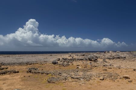 sea beach coast tropical Bonaire island Caribbean seaの写真素材