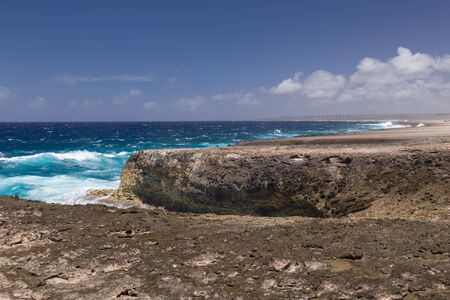 sea beach coast tropical Bonaire island Caribbean seaの写真素材