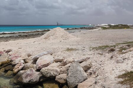 sea beach coast tropical Bonaire island Caribbean seaの写真素材