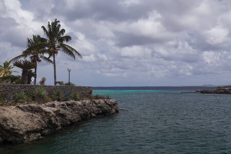sea beach coast tropical Bonaire island Caribbean seaの写真素材