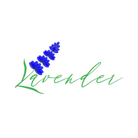Lavender Logo icon vector templateのイラスト素材
