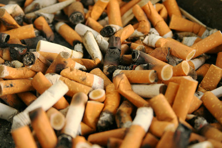 cigarette butts