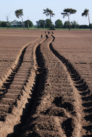 field tracks