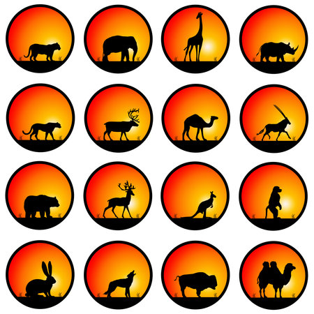 wildlife silhouettes illustrationの写真素材
