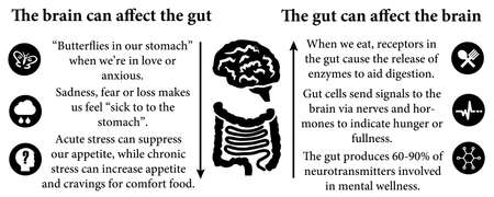 brain gut interaction illustrationの写真素材