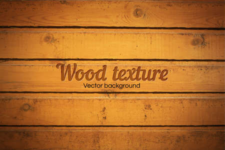 Realistic texture of pale wood. Vector Illustration.のイラスト素材