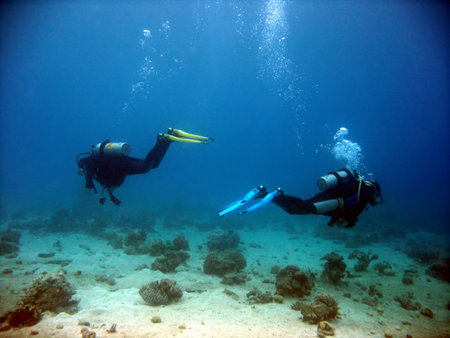 Two divers parting each other underwater