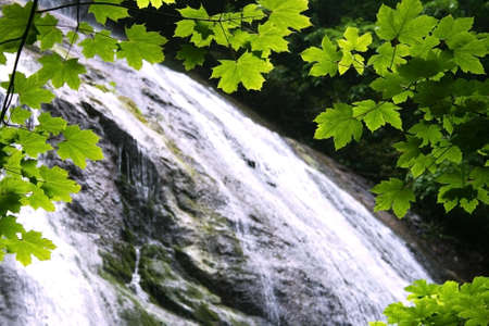 Waterfall With Leaves Frame Into Jungleの写真素材
