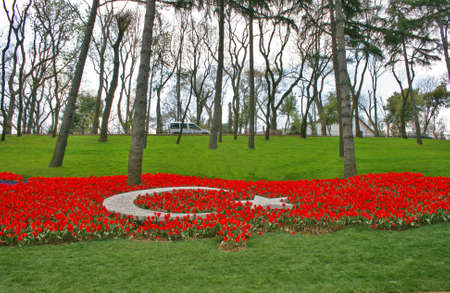 Turkey Map with Tulips in Emirgan Wood,Istanbulの写真素材
