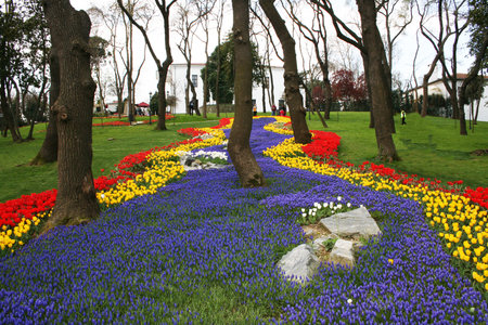 International Tulip Feast ,Istanbul,Turkeyの写真素材