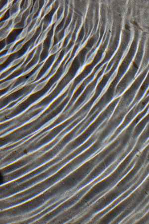 Rippled Water Surface for Background or Textureの写真素材
