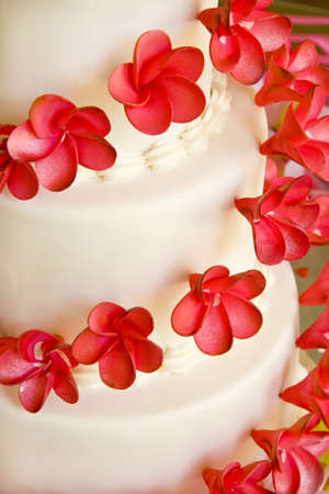 Wedding Cake with red flowersの写真素材