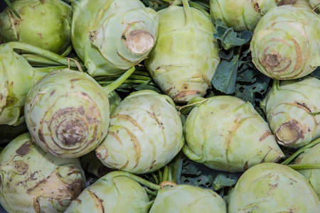 Organic Kohlrabi Cabbagesの写真素材