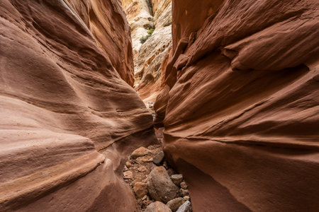 Little Wildhorse slot canyon in Emery County, Utah.