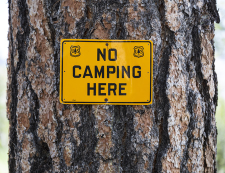 Unites States Forest Service No Camping sign nailed to a pine tree in the Kaibab National Forest.の写真素材