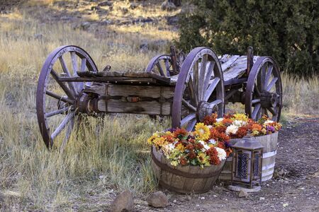 Remains of an old horse-drawn wooden wagon with iron wheels and with vintage barrels decorated with flowers.の写真素材