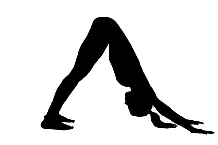 Female silhouette performing a Yoga Fold Over Tree Pose isolated on white.
