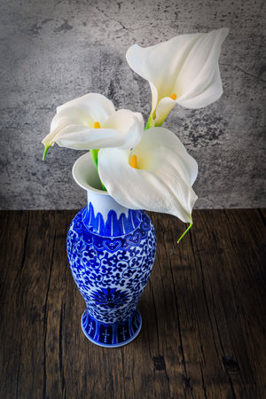 Three white calla lilies in a blue and white vintage vase.の写真素材