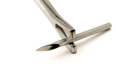 A piercing needle is held in a pair of slotted forcepsの写真素材