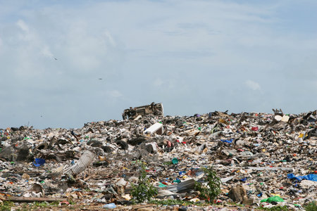 A roadside dump is a common site in Central America. This one is just outside of Belize City.